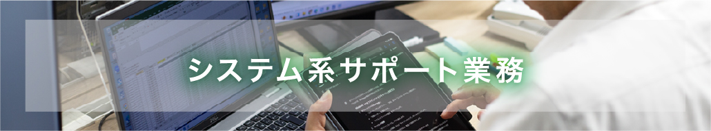 システム系サポート業務